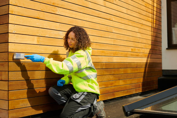Best Storm Damage Siding Repair  in Capitol View, SC